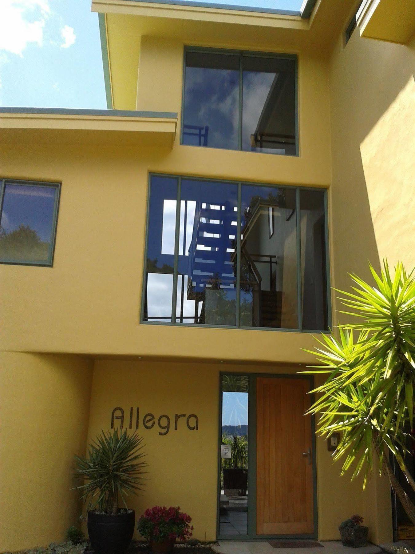 Allegra House Paihia Exteriér fotografie